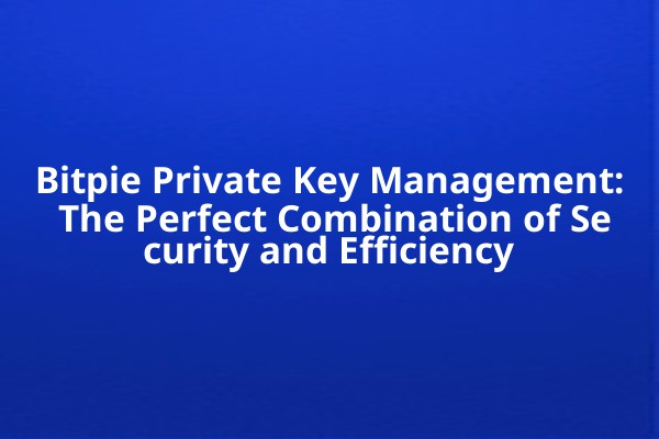 Bitpie Private Key Management: The Perfect Combination of Security and Efficiency