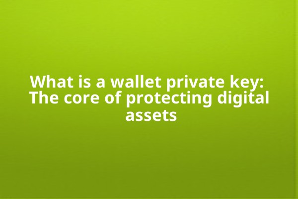 What is a wallet private key: The core of protecting digital assets