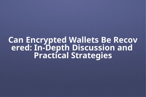 Can Encrypted Wallets Be Recovered: In-Depth Discussion and Practical Strategies