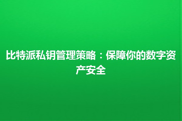 比特派私钥管理策略🔑：保障你的数字资产安全